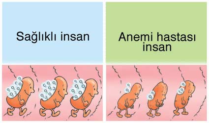 Anemi Hakkında Bilinmesi Gerekenler